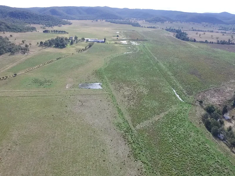 Alluvial Grazing with Creek Frontage