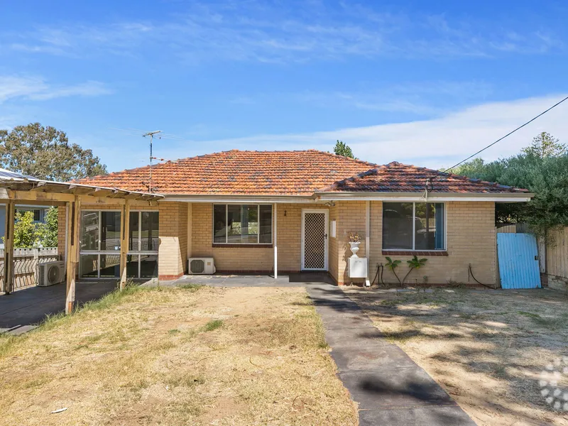 Beaconsfield's Blank Canvas; Full Lot, Character Features.