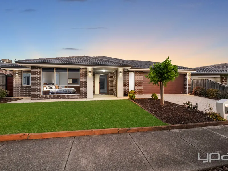 LOVE AT FIRST SIGHT!