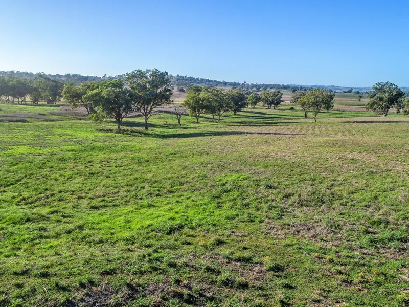 Mixed Farming Close to Wellington