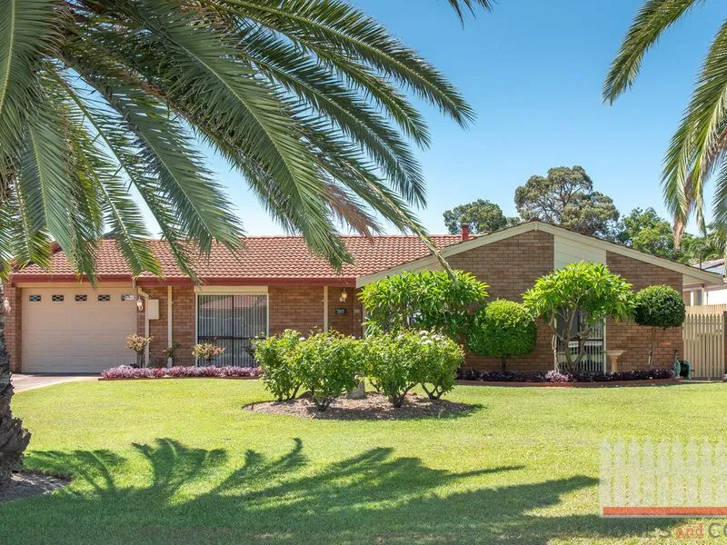 Quintessential family entertainer!