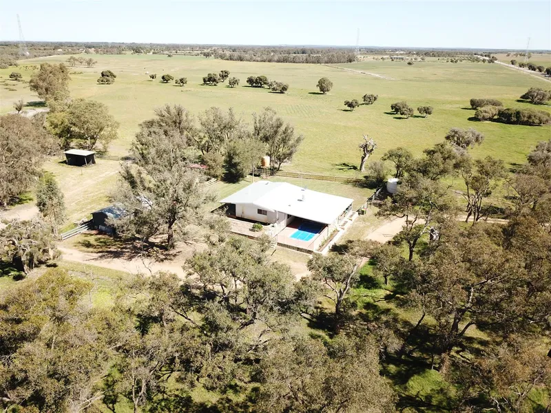 Lifestyle property with cattle grazing & oaten hay income