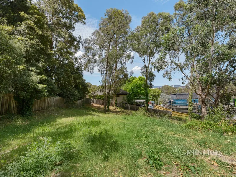 Let your imagination run wild!