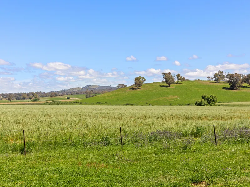 Income, Lifestyle & Recreation