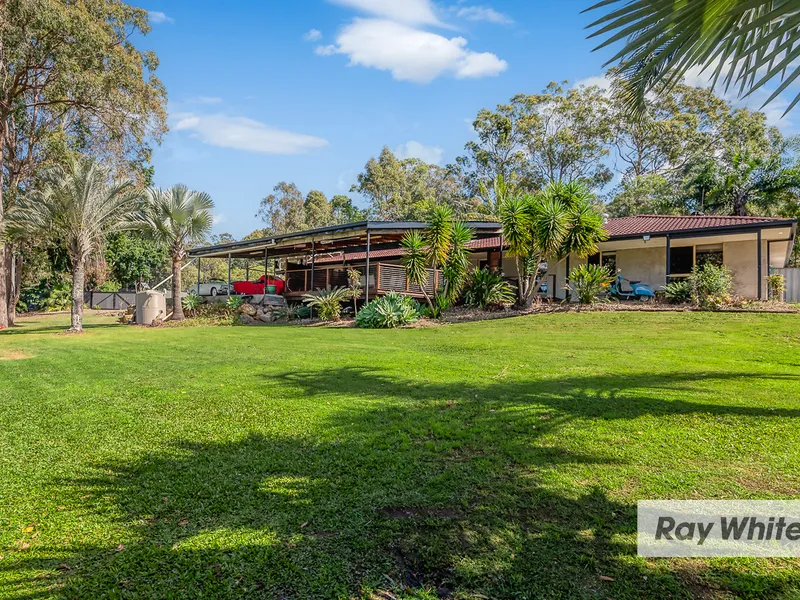 Welcome to Entertainer's Paradise!