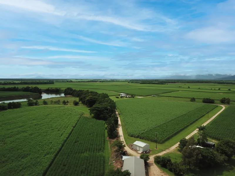 Cane farms & harvesting enterprise