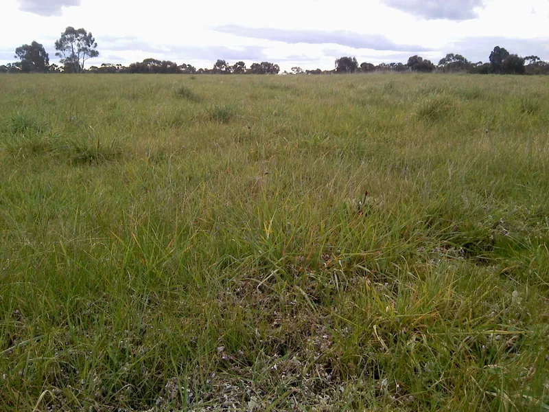 Sought after location