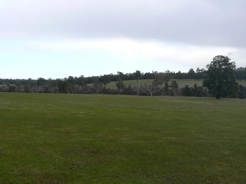 Great Sheep Property