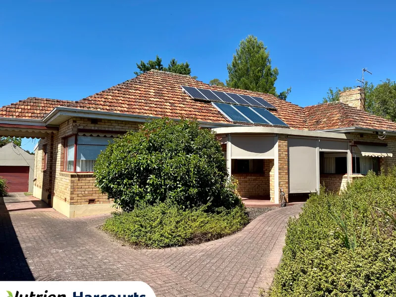 Solid and spacious on dual access large allotment.