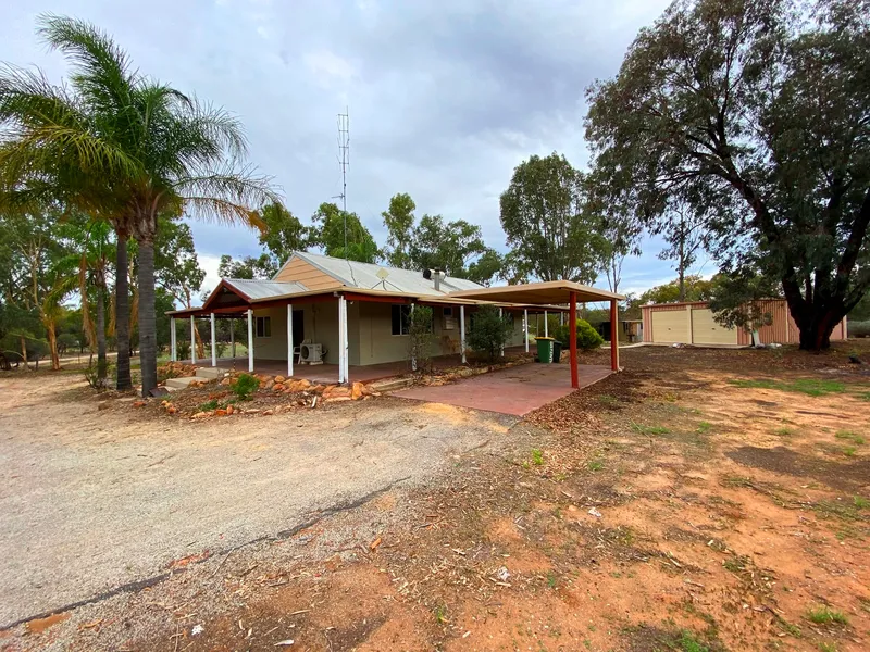 3 Acres With Your Own Olive Grove!