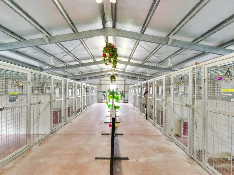 Country Comfort Pet Resort - Established Boarding Kennels With State Of The Art Infrastructure
