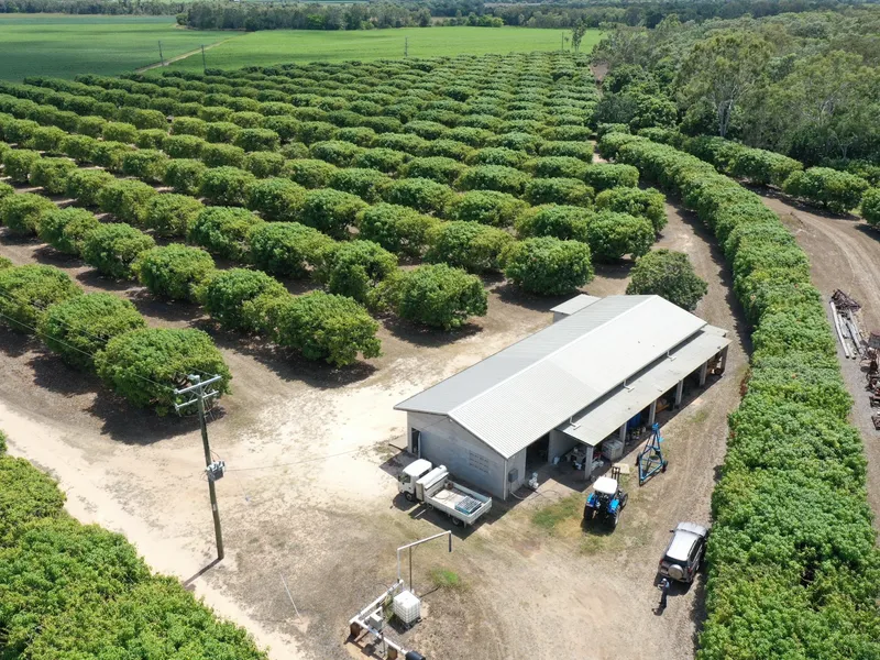 63 Acre Irrigated Mango Farm - Shed - Bores - Equipment 