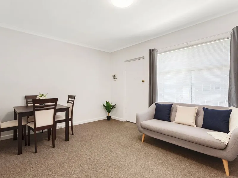 Magnificent 1 Bedroom Apartment