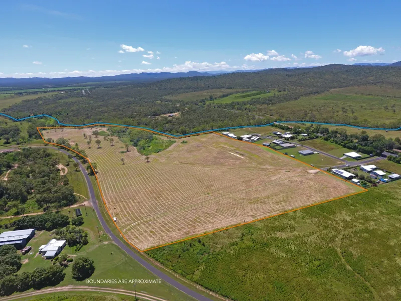 29 ACRES OF ENDLESS OPPORTUNITIES