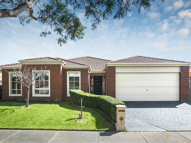 FAMILY SENSATION IN QUIET COURT