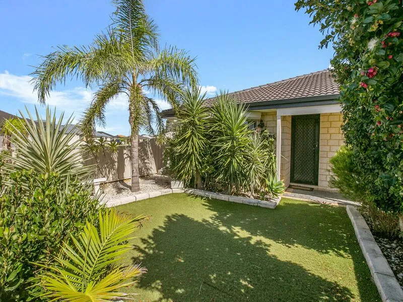 The Best of Both Worlds!