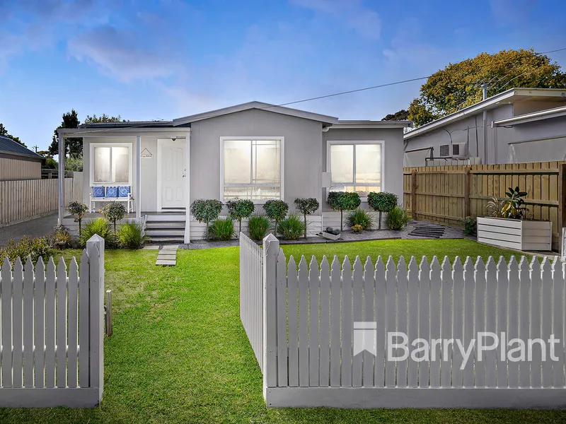 Auction this Saturday