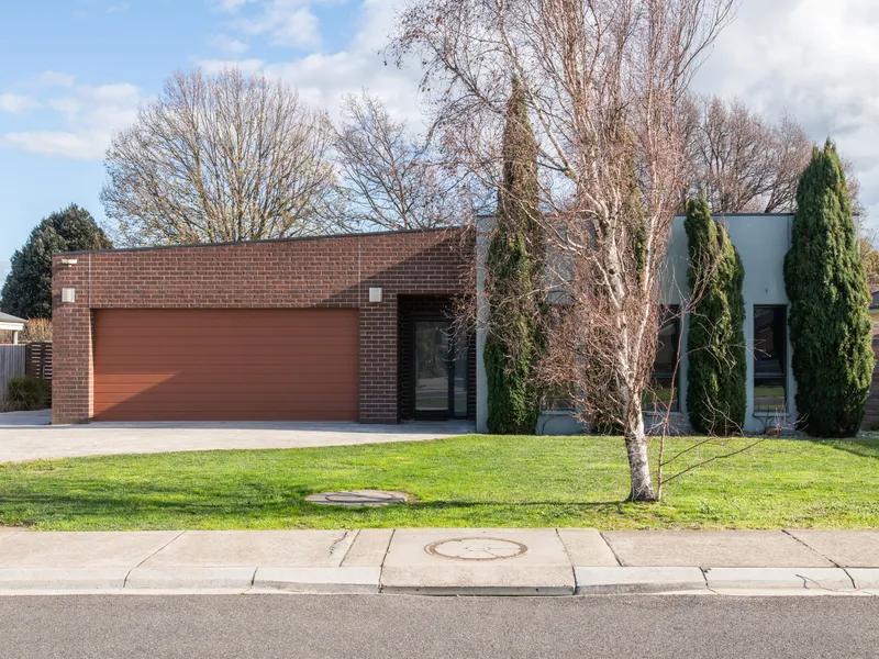 Contemporary Entertainer's Dream