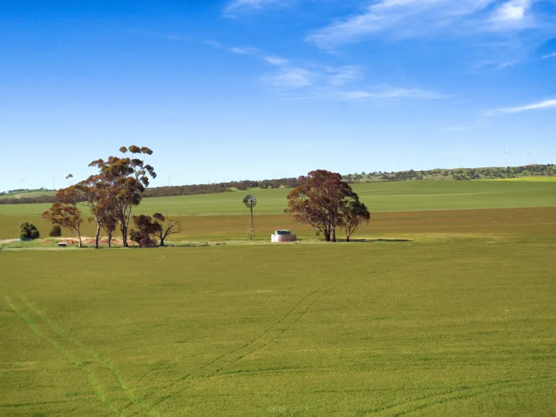 Highly Productive Farming Land