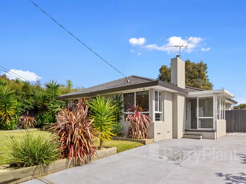 RARELY SEEN BUT ALWAYS DREAMED