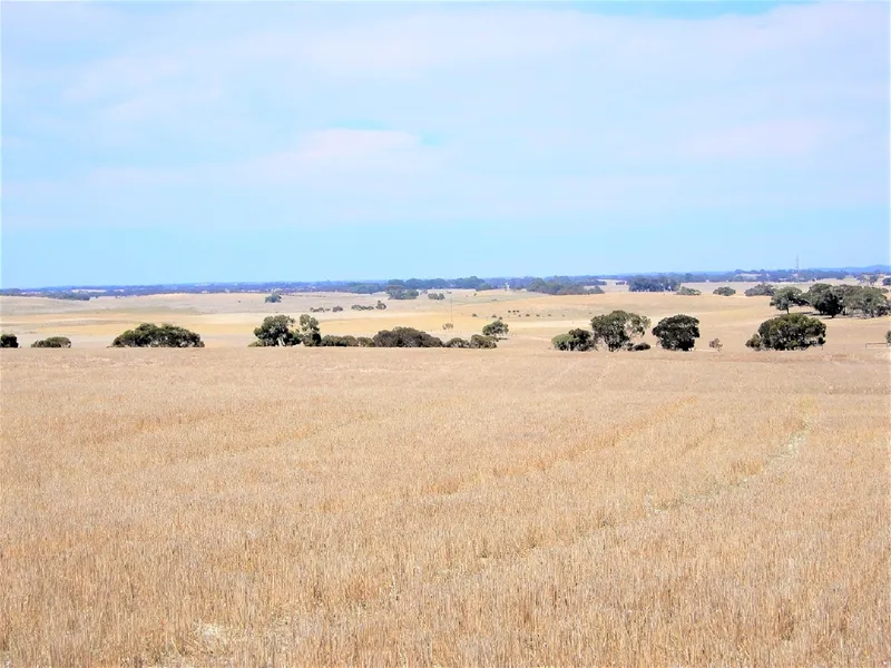 Ideal grazing and cropping 