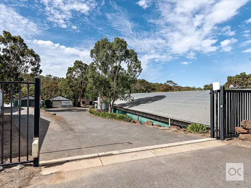 4 ACRES WITH CREEK FRONTAGE & MEGA INFRASTRUCTURE