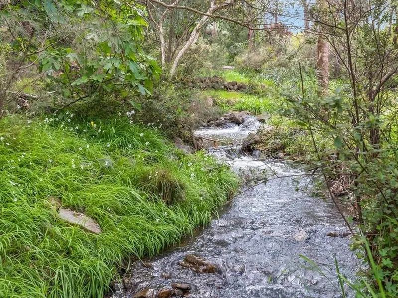 SEIZE THE DAY, Its Vacant land!