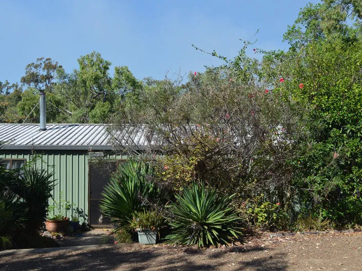 Horse Property North Queensland