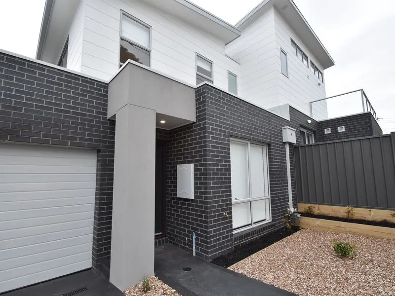 Get ready for Grevillia