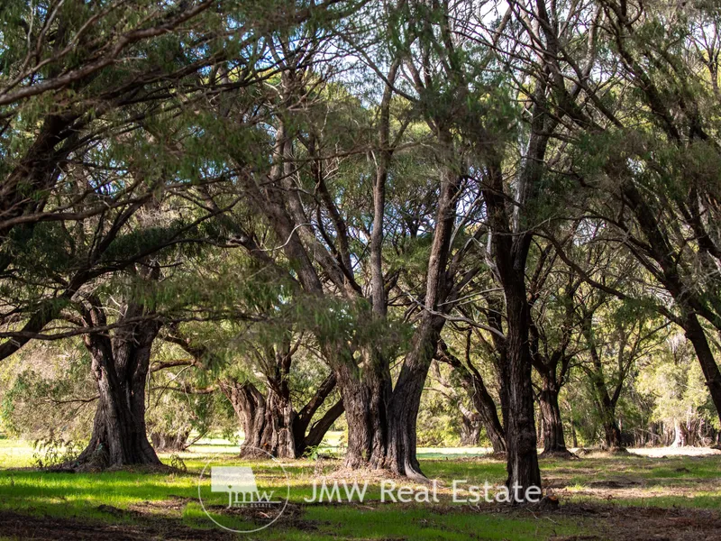 ESTABLISHED PEPPY TREES WITH NORTH FACING SOLAR PASSIVE OUTLOOK