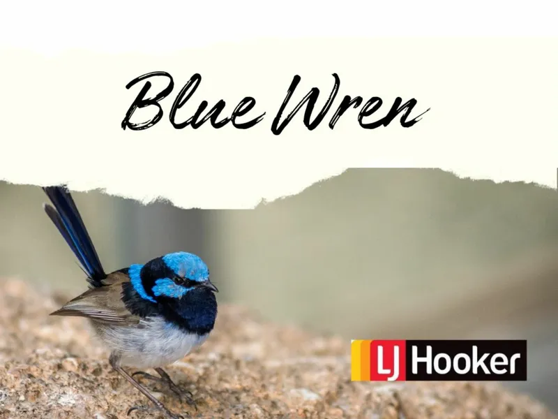 Discover the Perfect Canvas for Your Vision!