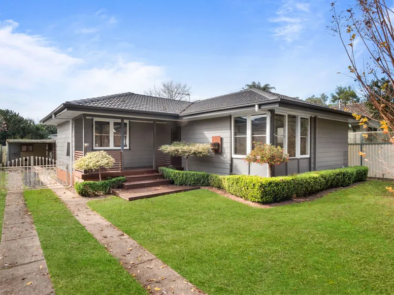 THE BEST NEST IN HOBARTVILLE