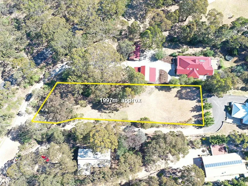 Walk into the Village