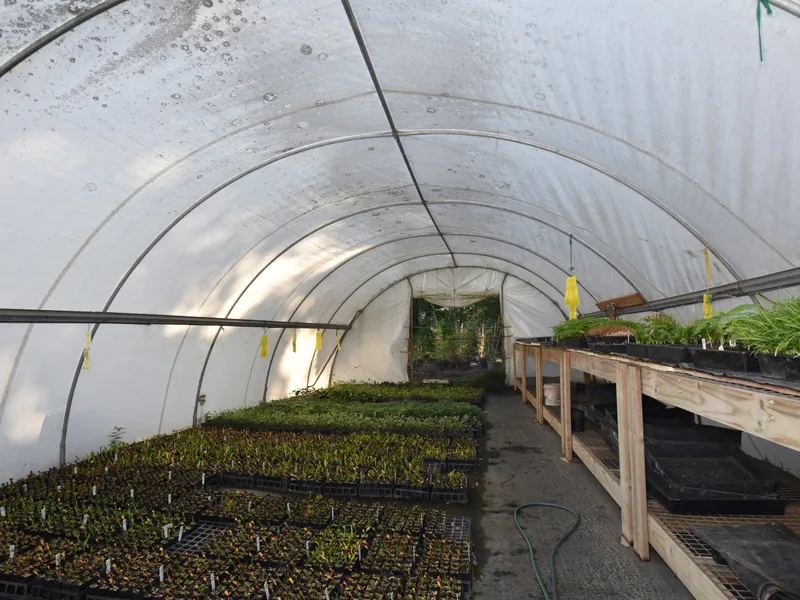 Beautiful Nursery with an annual turnover of $900,000