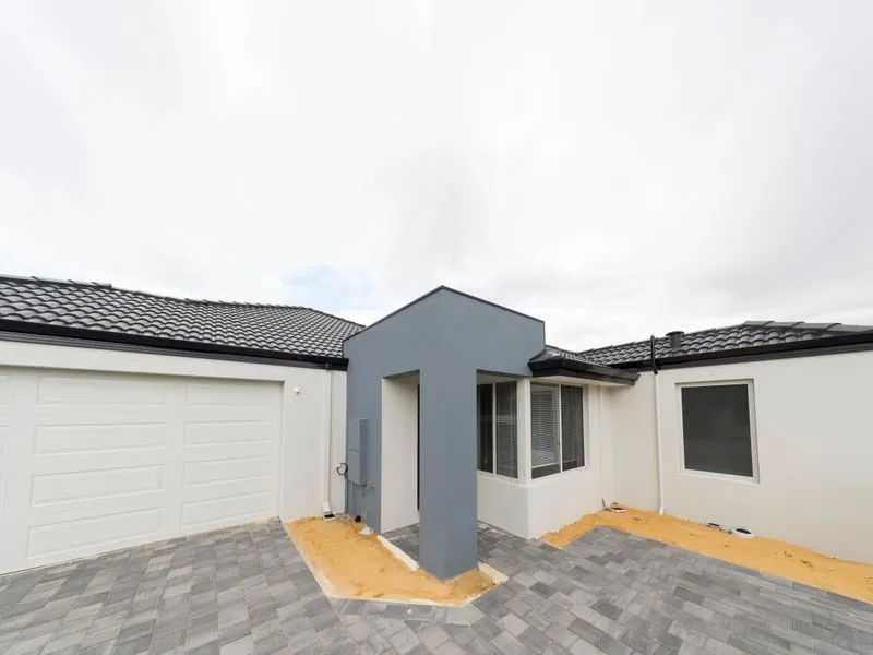 Sold By Zhenyu Wang & Riqiu Li