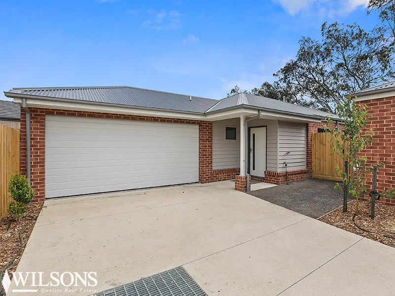 Modern Marshall Unit