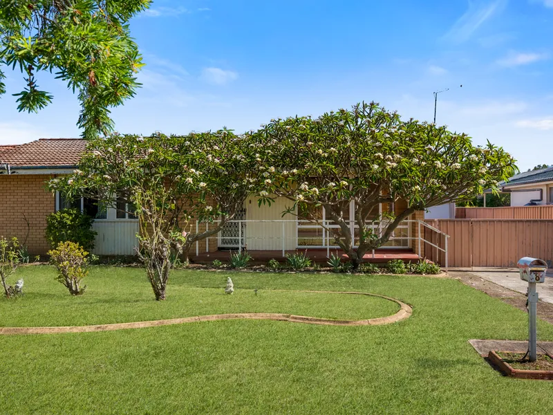 The Perfect Starting Point!