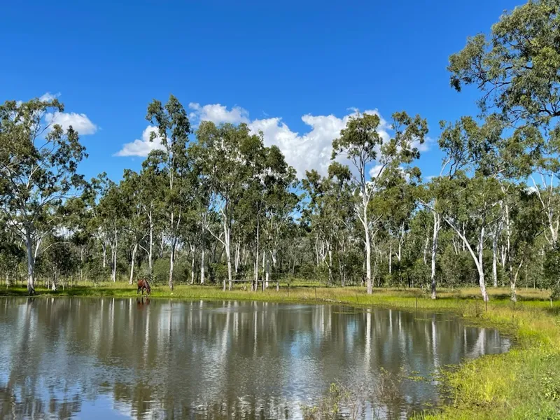 “Bedford Park” – 330 acres with Modern 4 Bedroom Home & Large Sheds
