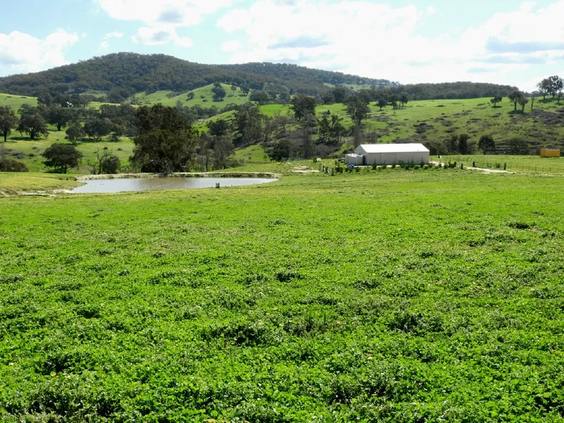 Country Weekender - 105 Acres - Creek