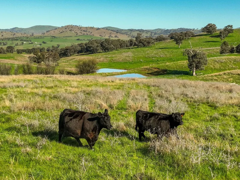 Highly sought after farming and lifestyle