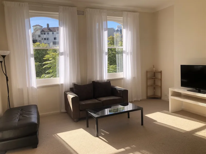 Spacious one bedroom apartment, furnished, bright and sunny, newly renovated situated in Potts Point