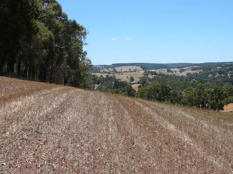 Lifestyle Now - Subdivide later