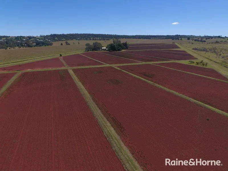 Absolutely First Class Cultivation on Town Outskirts  