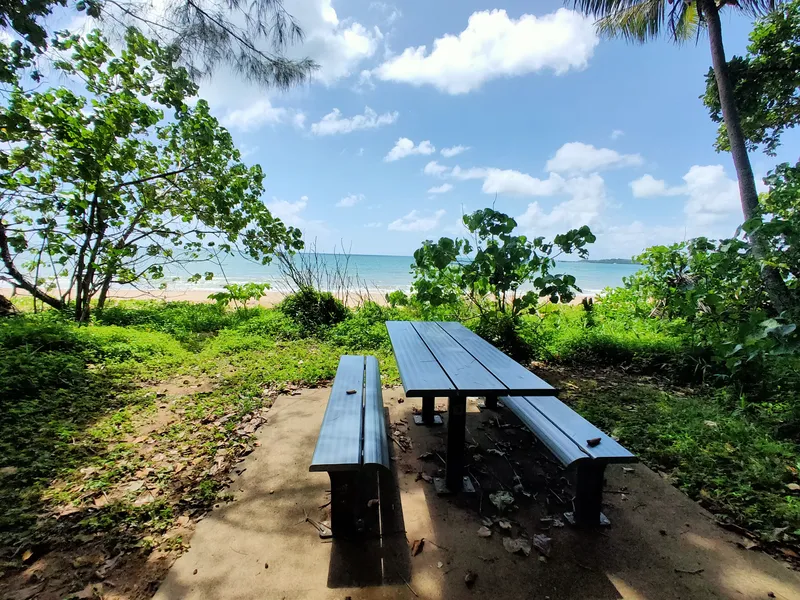 Last of the Developer Blocks !