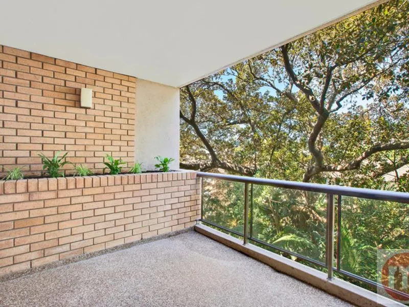 TREETOP TRANQUILITY, BONDI LIFESTYLE