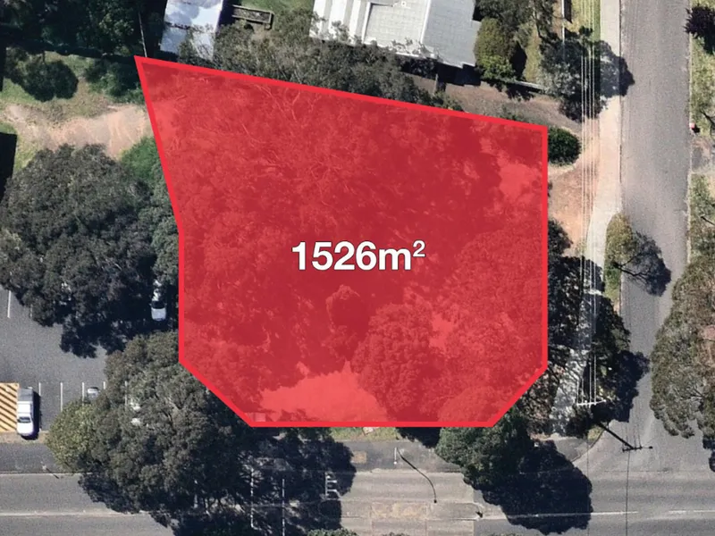 A True Rarity Close to Town