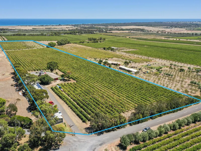 15 magical acres - make your dreams come true