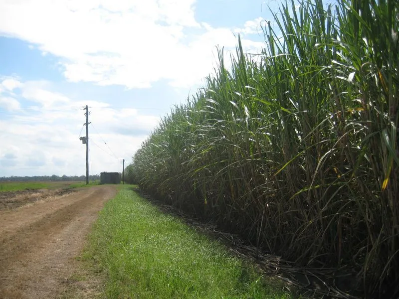 IRRIGATED FARM & GRAZING