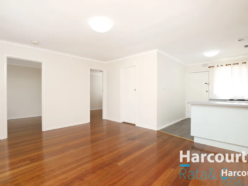 Everything You Need Plus More!