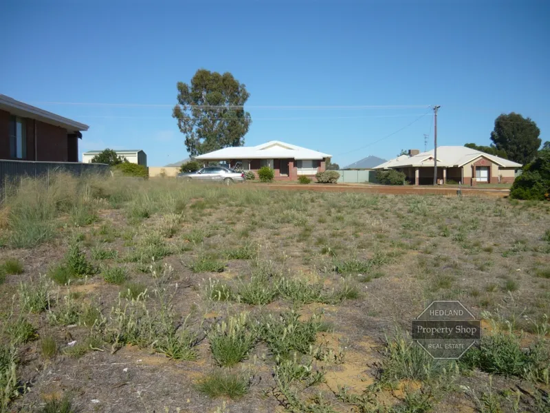 VACANT BLOCKS